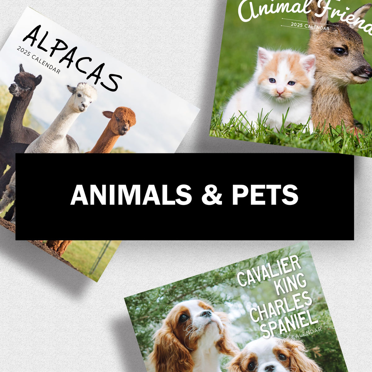 Animals & Pets 2025 Calendars Paper Pocket AU