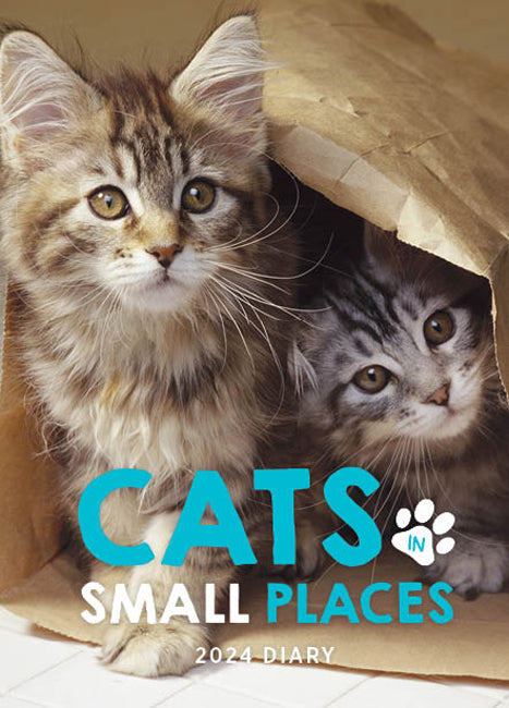 Cats in best sale small places