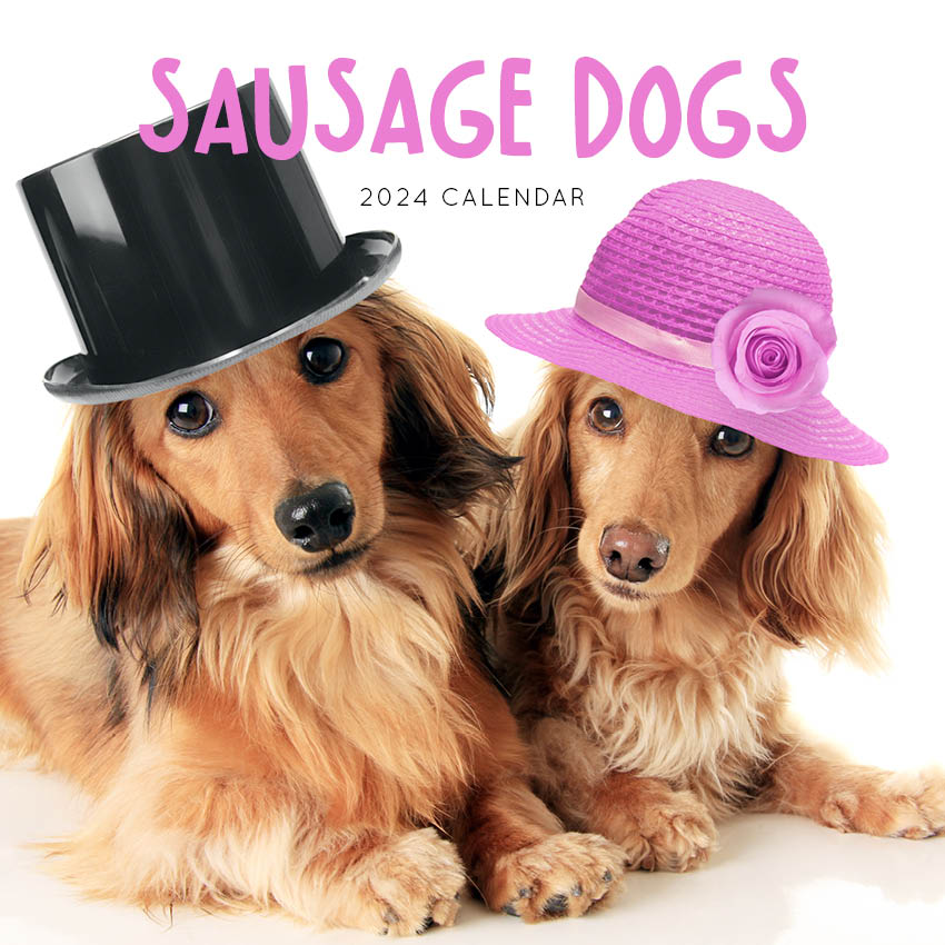 2024 Sausage Dogs Calendar Paper Pocket