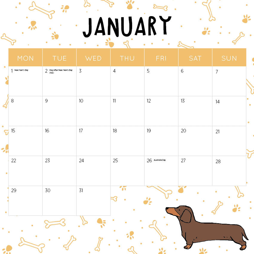 2024 Sausage Dogs Calendar Paper Pocket