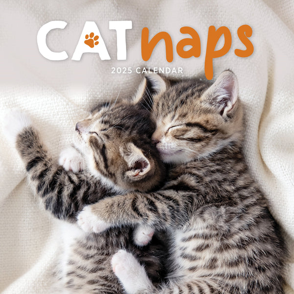 Cat Naps Calendar 2025 Cover