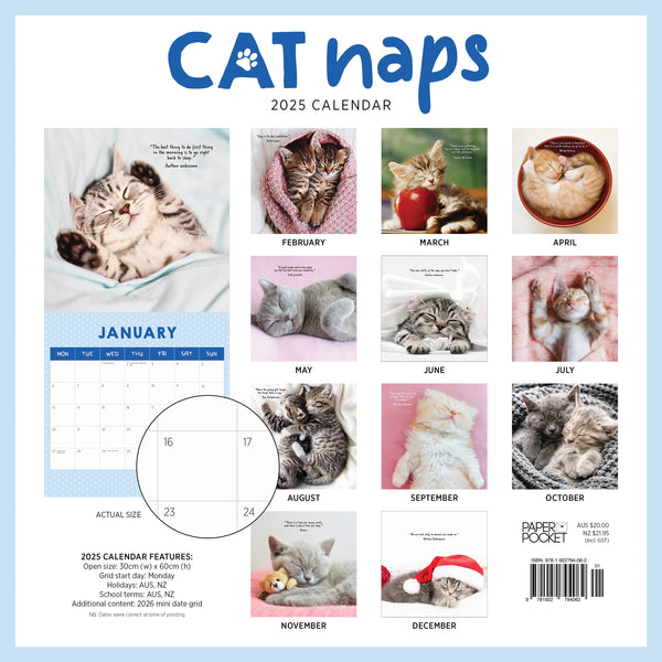 Cat Naps Calendar 2025 Monthly Overview