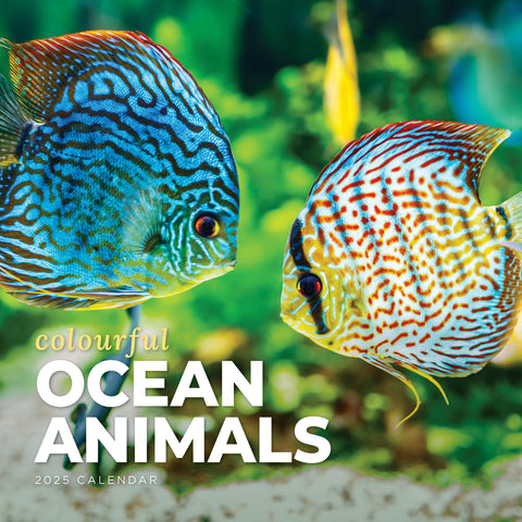 Colourful Ocean Animals Calendar 2025 Cover