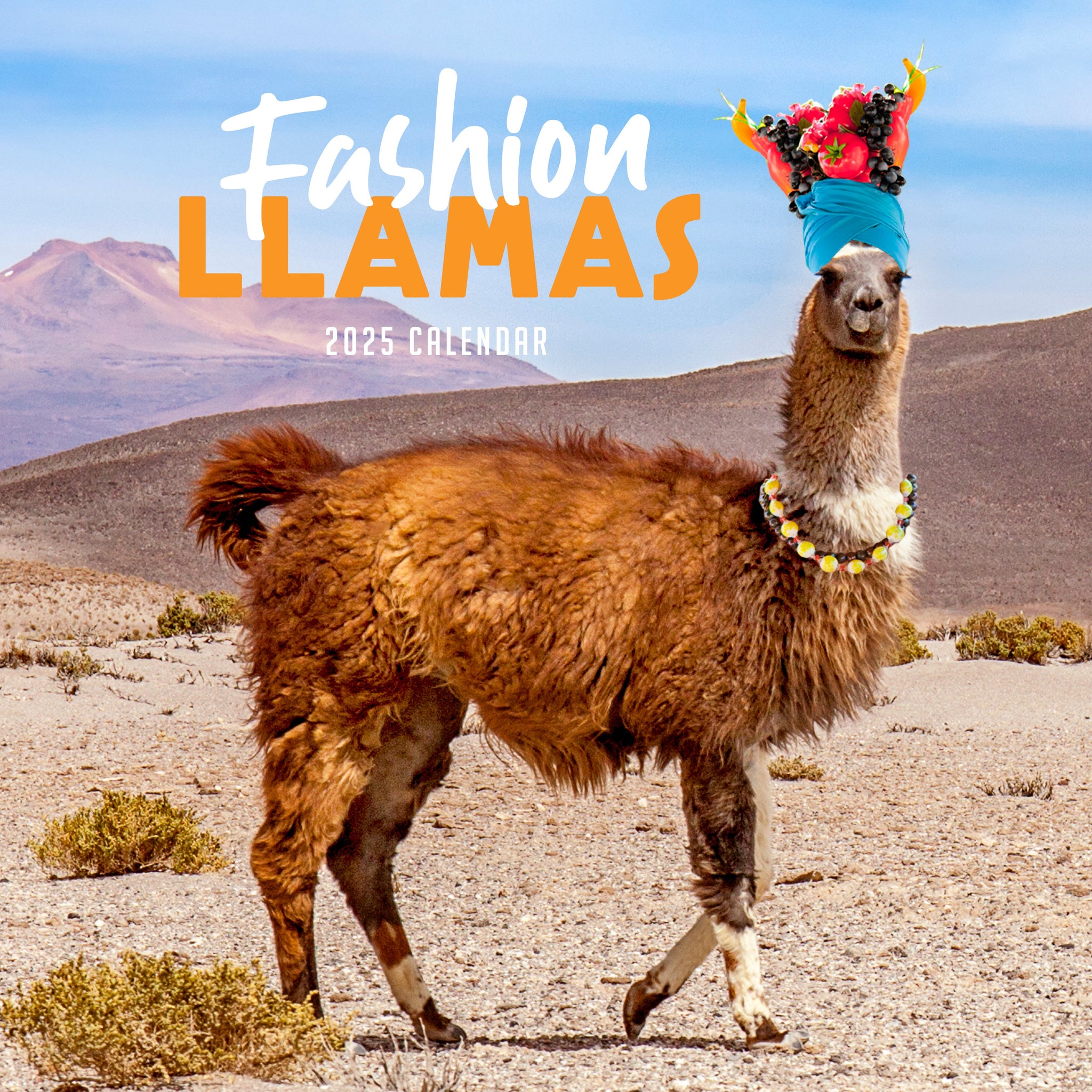 Fashion Llamas Calendar 2025 Cover