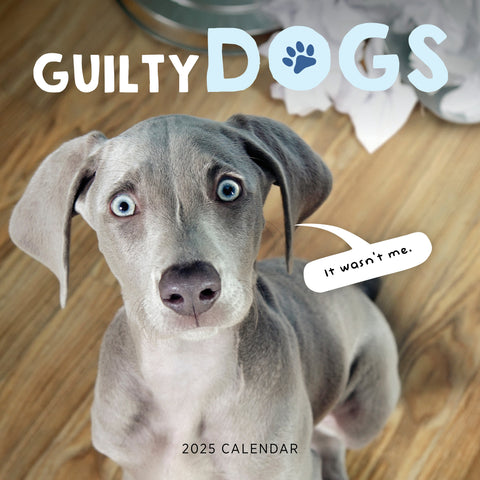 Guilty Dogs Calendar 2025 Cover