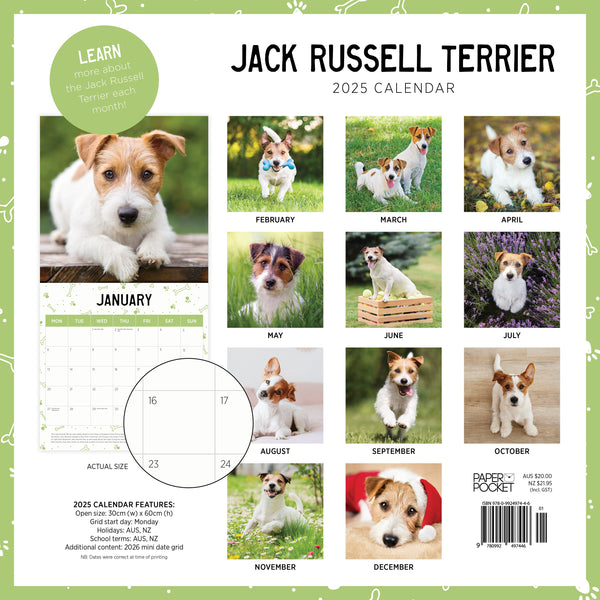 Jack Russell Terrier Calendar 2025 Monthly Overview