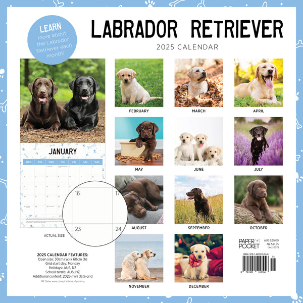 Labrador Retriever Calendar 2025 Monthly Overview