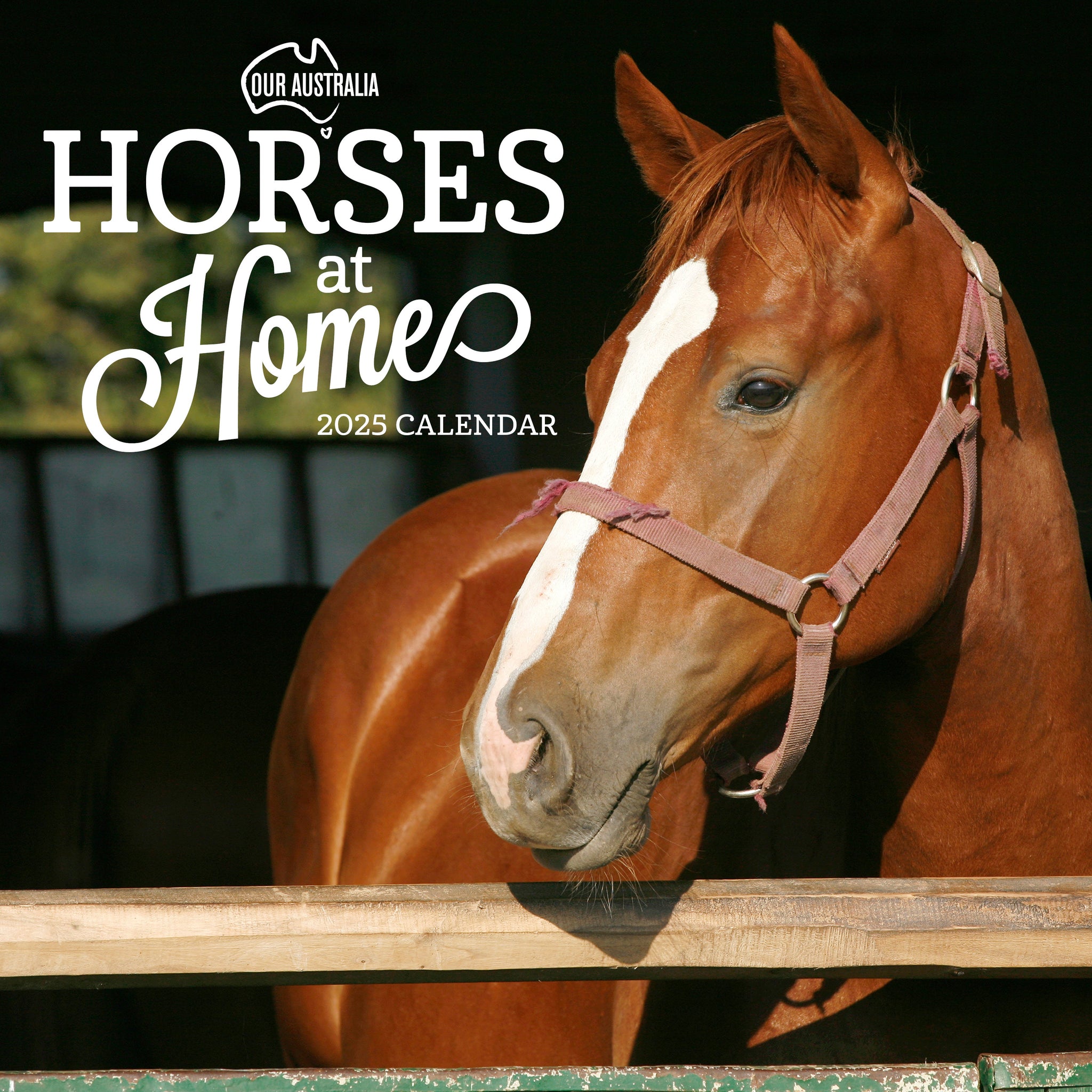 Our Aust. Horses at Home Calendar 2025 Cover