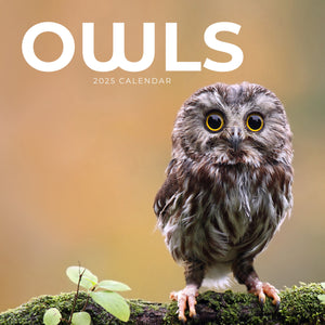 Owls Calendar 2025 Cover