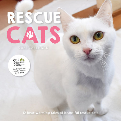 Rescue Cats Calendar 2025 Cover