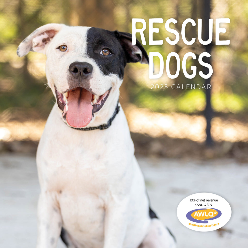 Rescue Dogs 2025 Calendar Paper Pocket