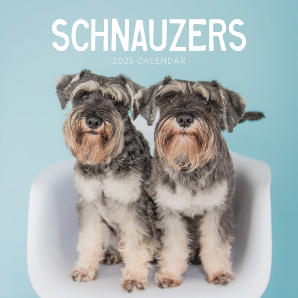 Schnauzers Calendar 2025 Cover