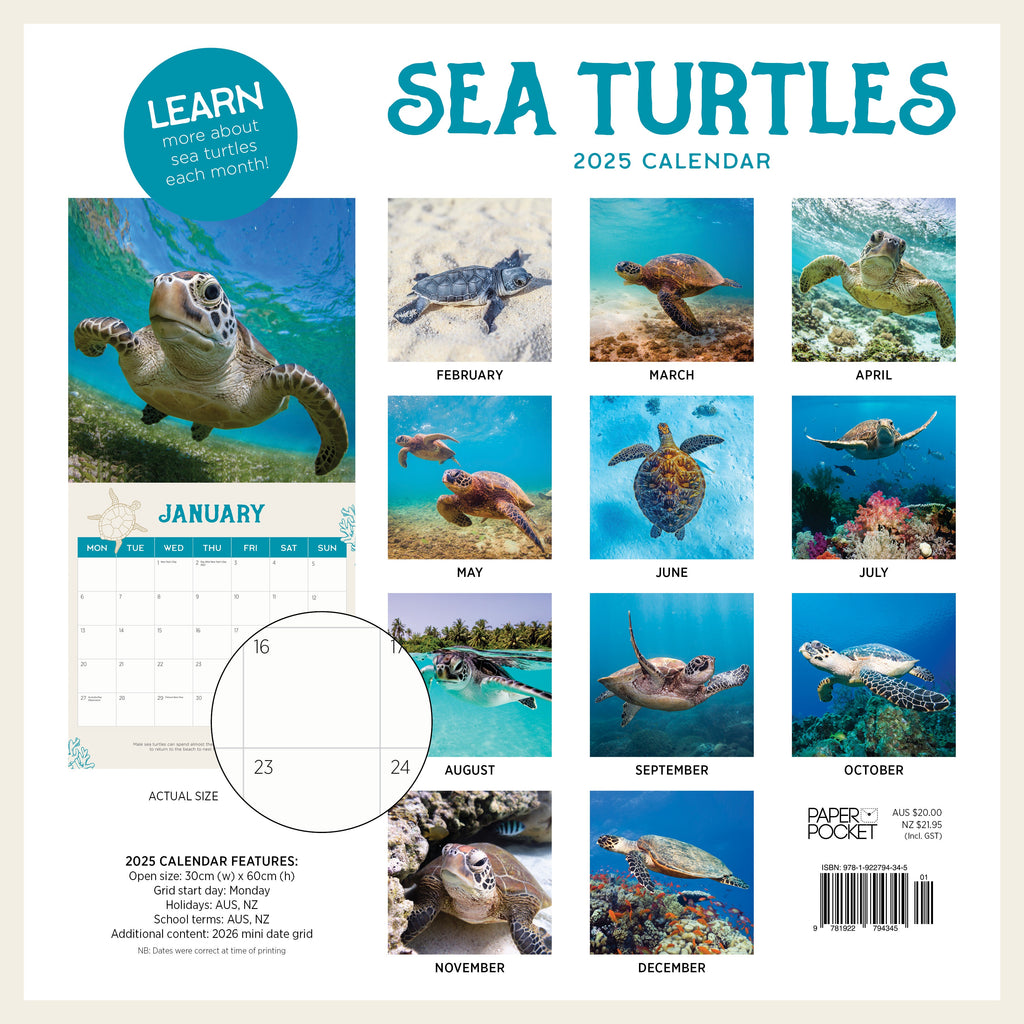 Sea Turtles 2025 Calendar Paper Pocket